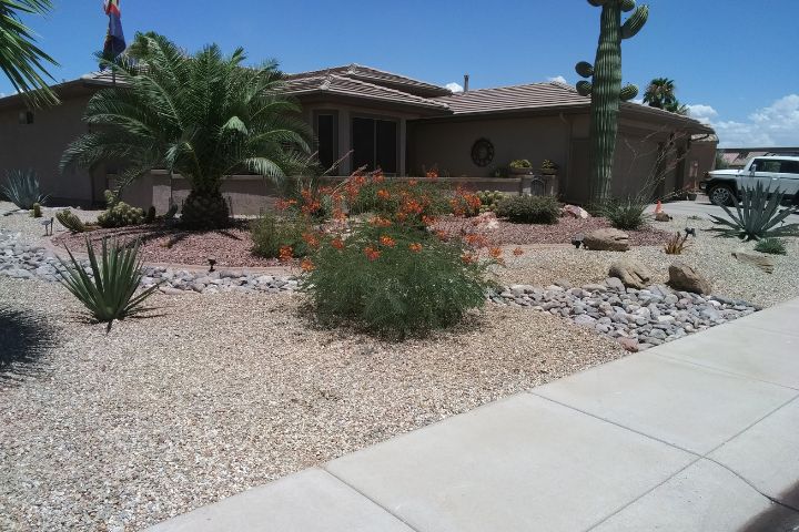 Front Yard Landscaping